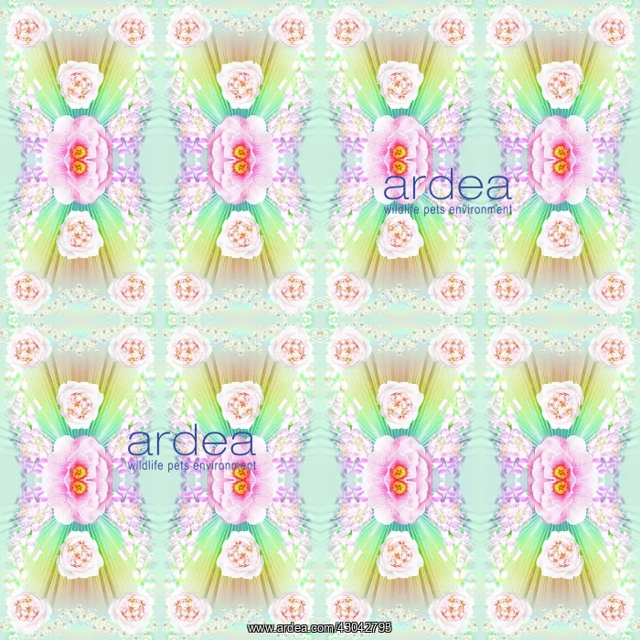  : Repeating pattern