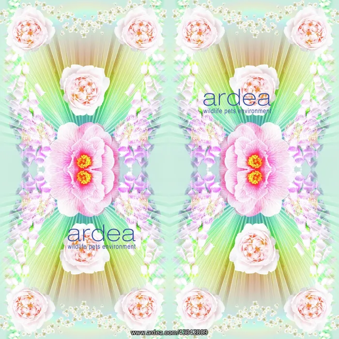  : Repeating pattern