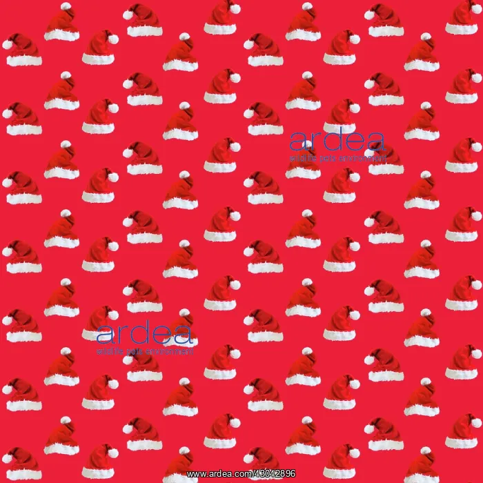  : Repeating pattern