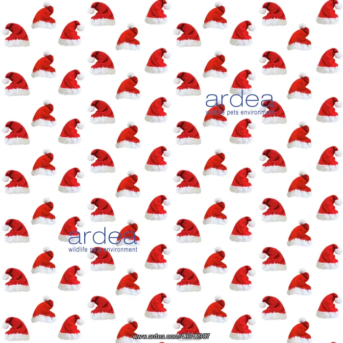  : Repeating pattern