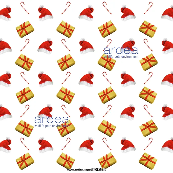  : Repeating pattern