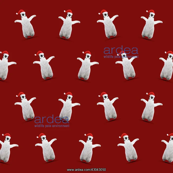  : Repeating pattern