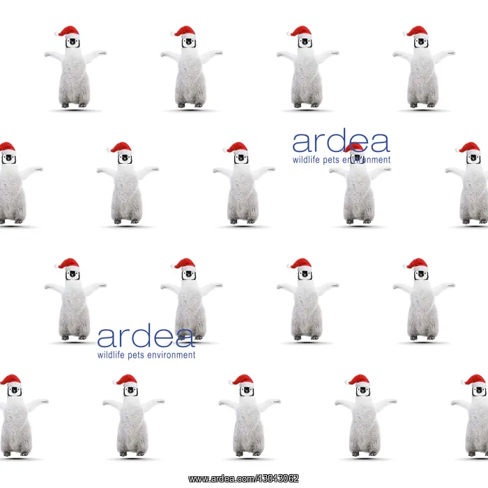  : Repeating pattern