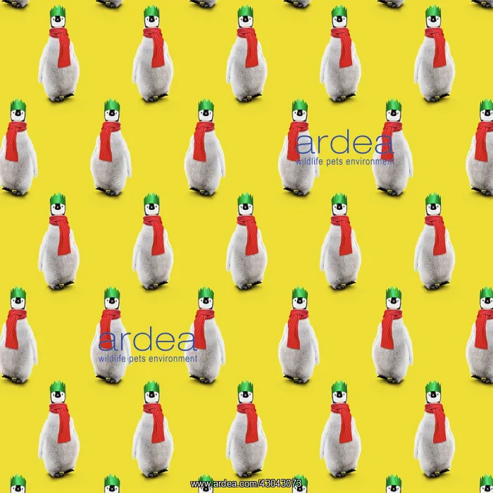  : Repeating pattern