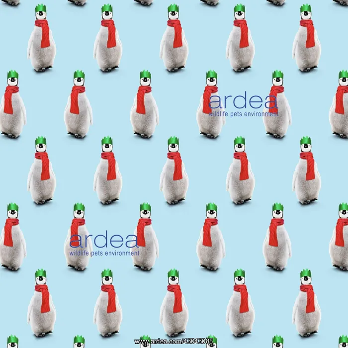  : Repeating pattern