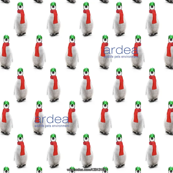  : Repeating pattern