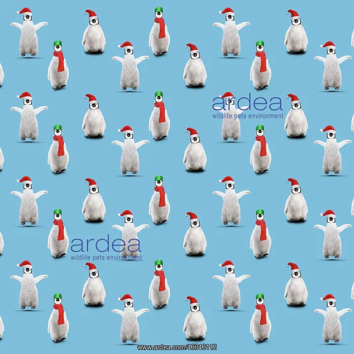  : Repeating pattern