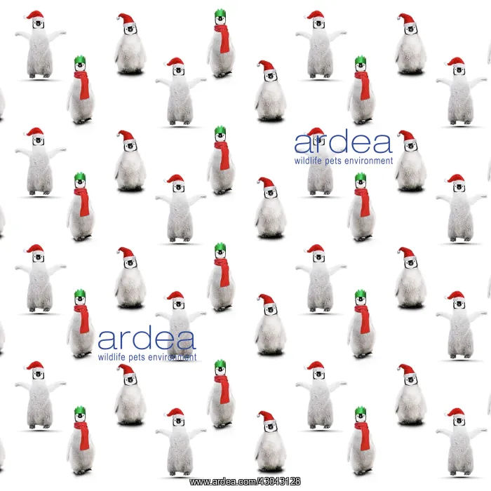  : Repeating pattern
