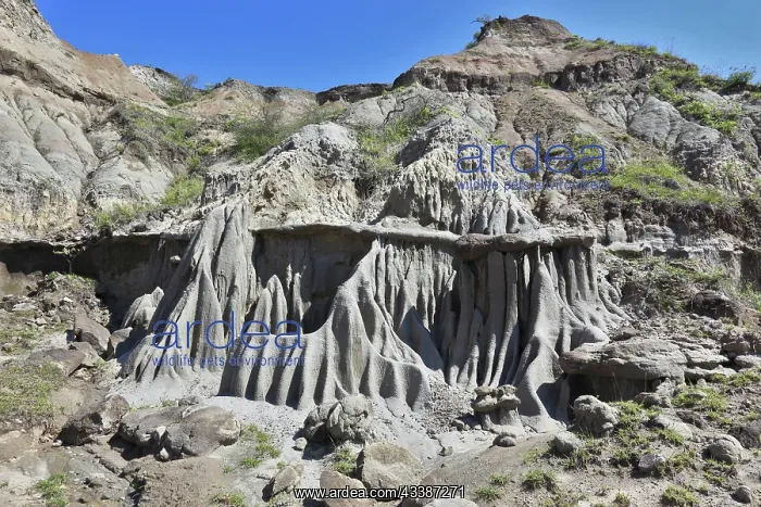 : Republic of Colombia, landscape in the departmen : Republic of Colombia, landscape in the departmen