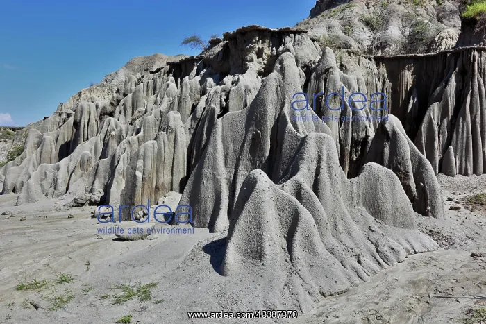  : Republic of Colombia, landscape in the departmen