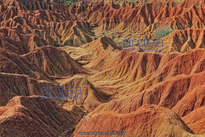 : Republic of Colombia, Tatacoa Desert, landscape : Republic of Colombia, Tatacoa Desert, landscape