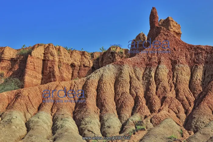 : Republic of Colombia, Tatacoa Desert, landscape : Republic of Colombia, Tatacoa Desert, landscape