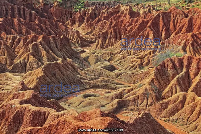 : Republic of Colombia, Tatacoa Desert, landscape : Republic of Colombia, Tatacoa Desert, landscape