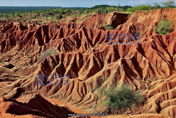 : Republic of Colombia, Tatacoa Desert, landscape : Republic of Colombia, Tatacoa Desert, landscape