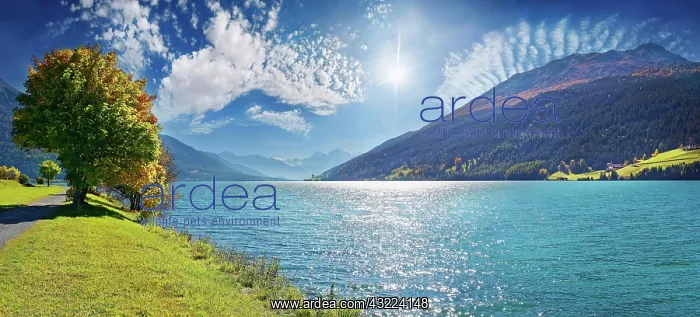 : Reschensee, Graun, Reschen, Trentino-Alto Adige : Reschensee, Graun, Reschen, Trentino-Alto Adige