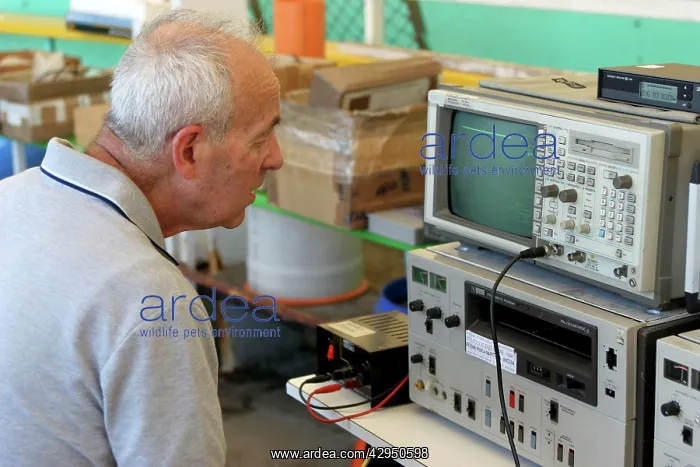 : RESEARCHER of CNR (Italian National Council of : RESEARCHER of CNR (Italian National Council of