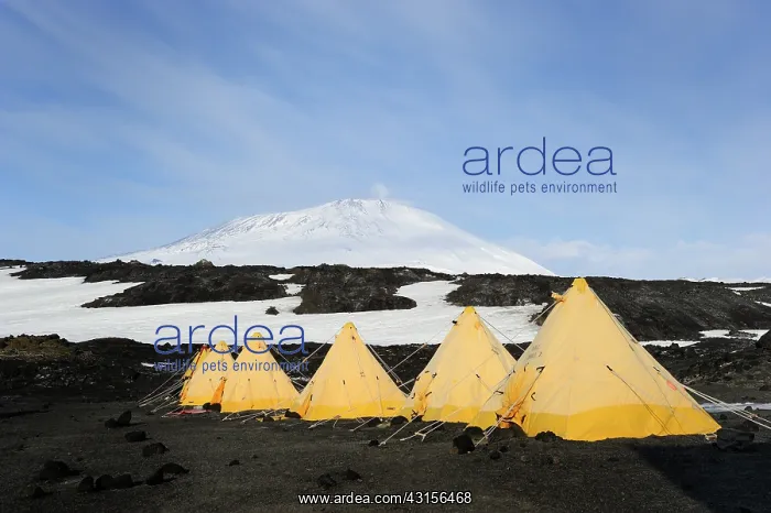 : Researchers Camp at the base of Mount Erebus : Researchers Camp at the base of Mount Erebus