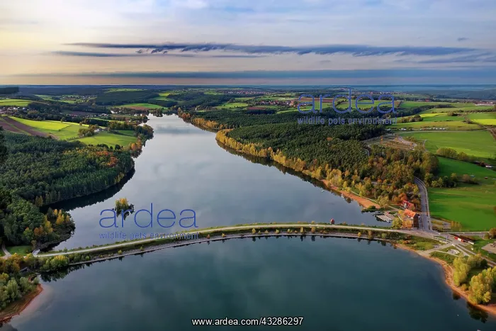 : Reservoir Gro&, x7e5;r Brombachsee, in front Kleiner : Reservoir Gro&, x7e5;r Brombachsee, in front Kleiner