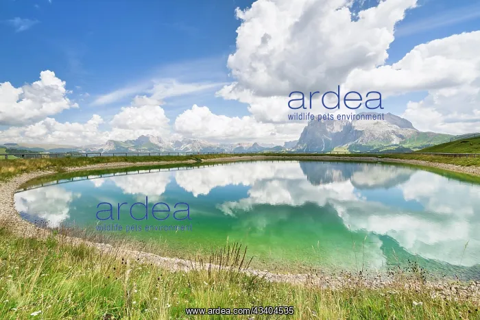 : Reservoir with view of the Langkofel and Plattkofel : Reservoir with view of the Langkofel and Plattkofel