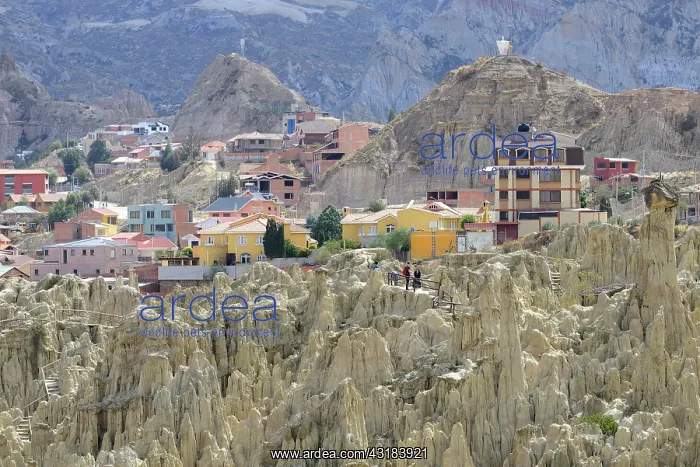 : Residential houses behind the bizarre rock formations : Residential houses behind the bizarre rock formations