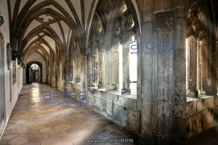 : Residenz Eichstaett residence, Residenzplatz, Eichstaett : Residenz Eichstaett residence, Residenzplatz, Eichstaett