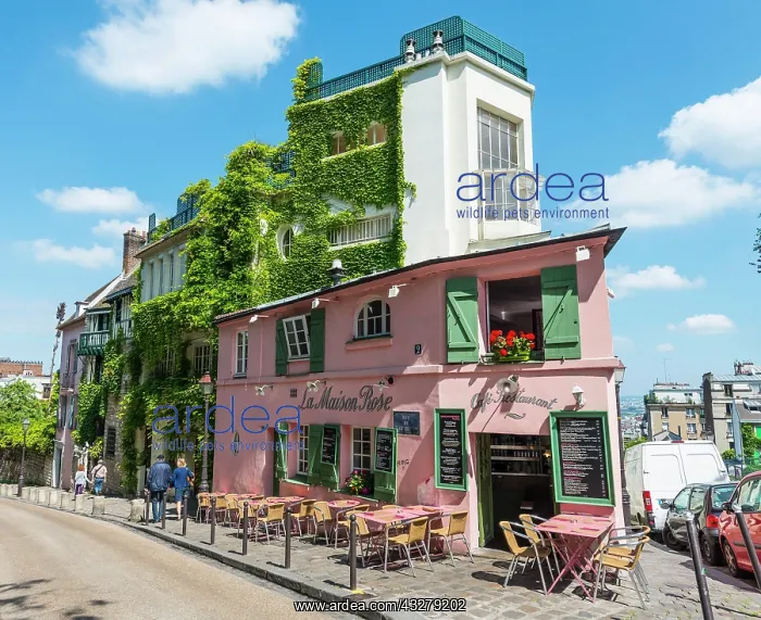 : Restaurant La Maison Rose, Montmartre, Paris, Ile-de-France : Restaurant La Maison Rose, Montmartre, Paris, Ile-de-France