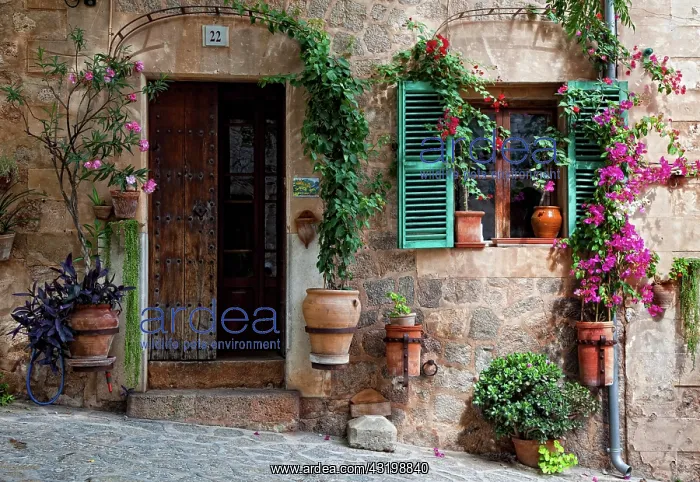 : Restaurant, Valldemossa, Majorca, Balearic Islands : Restaurant, Valldemossa, Majorca, Balearic Islands