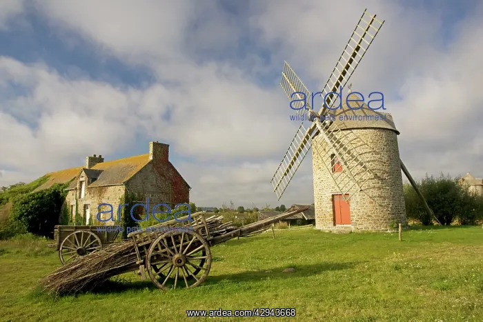 : Restored French windmill with old wood cart in foreground : Restored French windmill with old wood cart in foreground