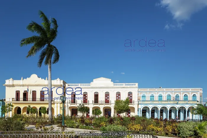 : Restored historic buildings at the Parque Cespedes : Restored historic buildings at the Parque Cespedes