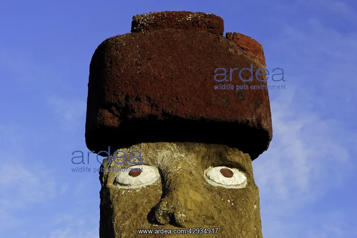 : Restored moai with top-knot, on Ahu Ko Te Riku : Restored moai with top-knot, on Ahu Ko Te Riku