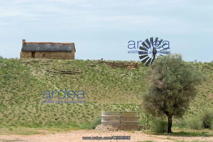 : Restored waterhole / watcher's farm house, built : Restored waterhole / watcher's farm house, built