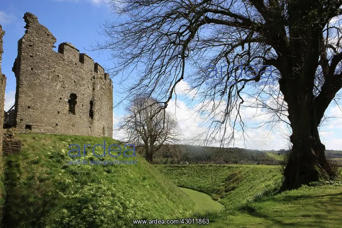 : Restormel Castle the 13th century circular keep : Restormel Castle the 13th century circular keep
