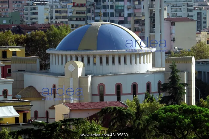: Resurrection of Christ Orthodox Cathedral, Tirana : Resurrection of Christ Orthodox Cathedral, Tirana