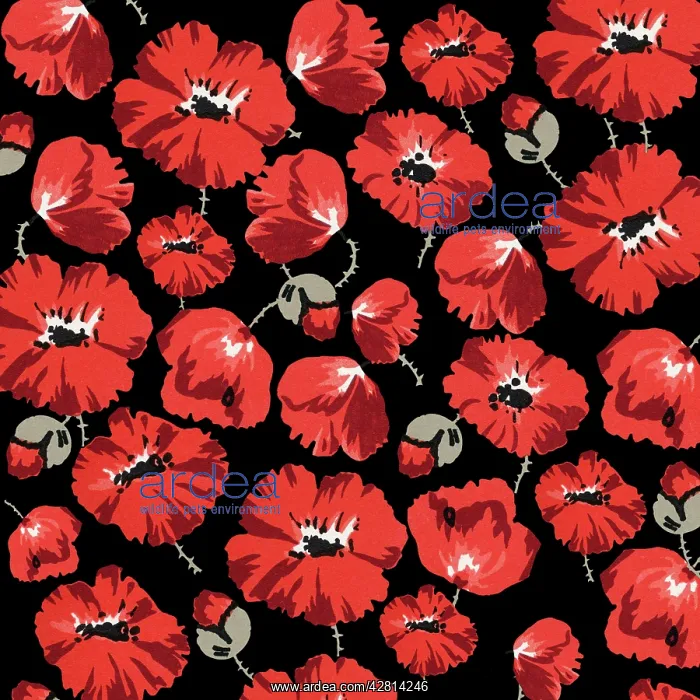 : Retro Floral Collage : Retro Floral Collage
