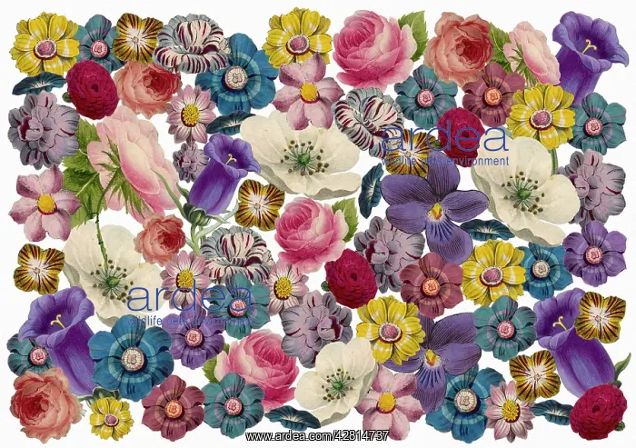 : Retro Floral Collage : Retro Floral Collage