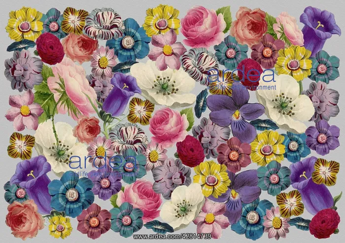 : Retro Floral Collage : Retro Floral Collage