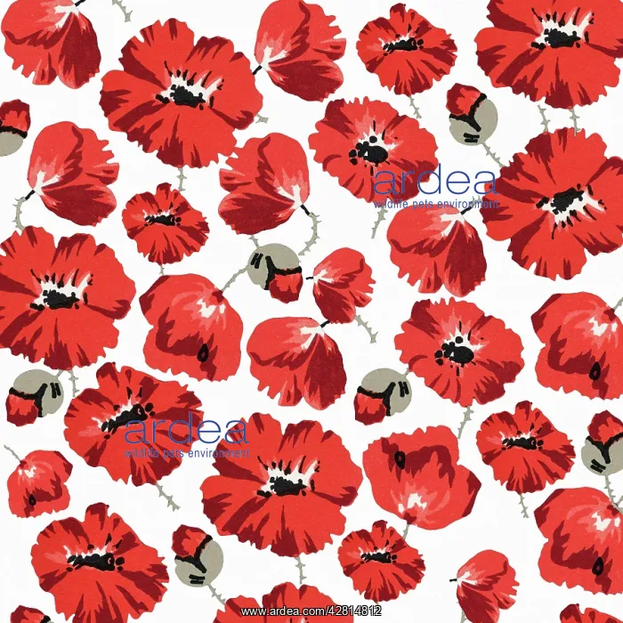 : Retro Floral Collage : Retro Floral Collage