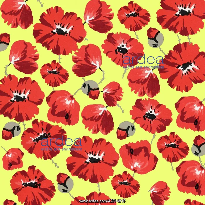 : Retro Floral Collage : Retro Floral Collage