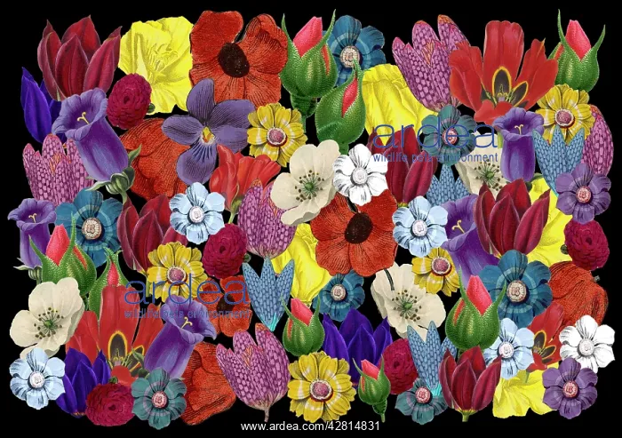 : Retro Floral Collage : Retro Floral Collage