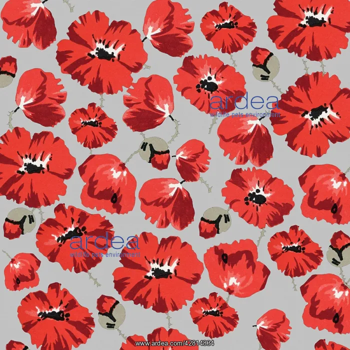 : Retro Floral Collage : Retro Floral Collage