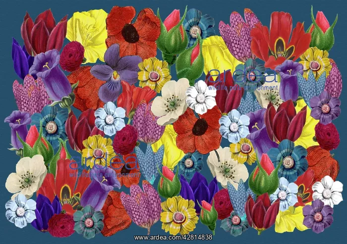 : Retro Floral Collage : Retro Floral Collage