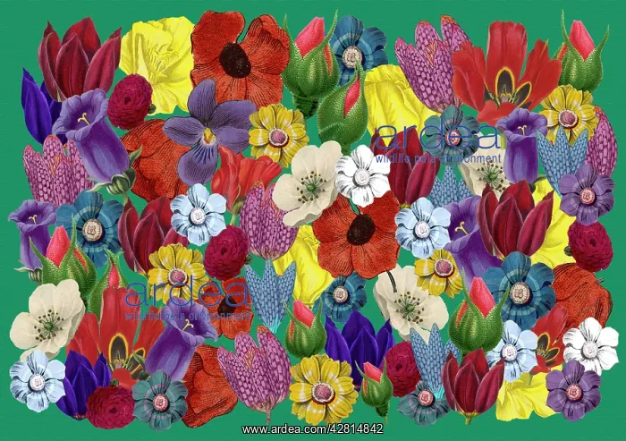 : Retro Floral Collage : Retro Floral Collage