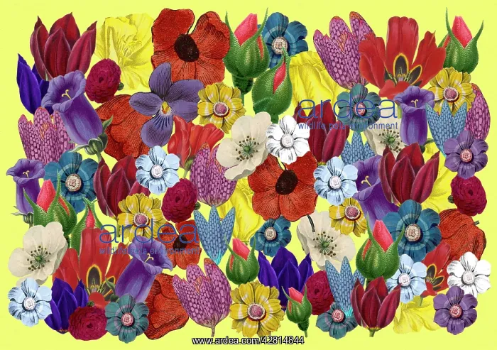 : Retro Floral Collage : Retro Floral Collage