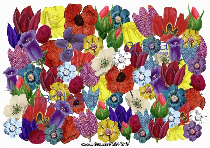 : Retro Floral Collage : Retro Floral Collage