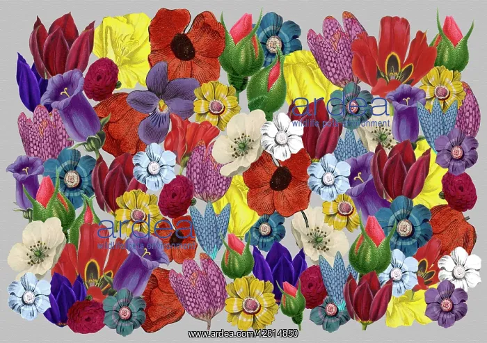: Retro Floral Collage : Retro Floral Collage
