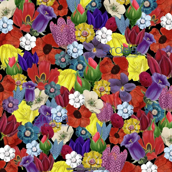: Retro Floral Collage : Retro Floral Collage