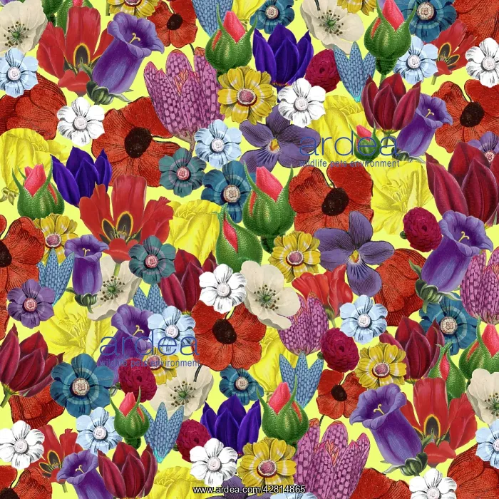 : Retro Floral Collage : Retro Floral Collage