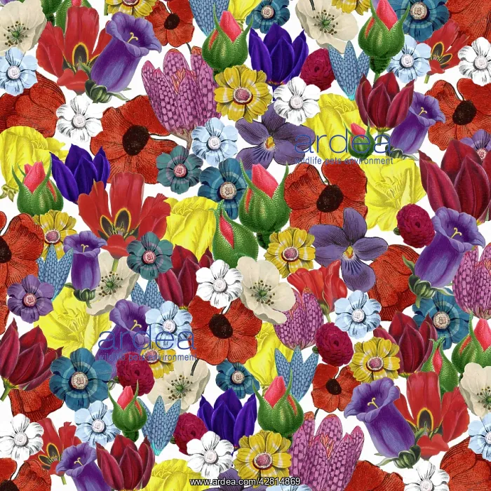 : Retro Floral Collage : Retro Floral Collage