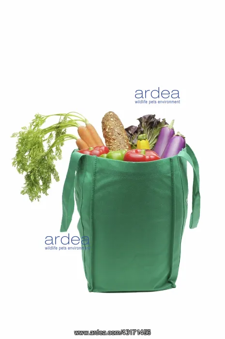 : Reusable bag with fresh produce : Reusable bag with fresh produce
