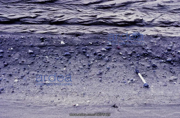 : Reverse graded bedding : Reverse graded bedding